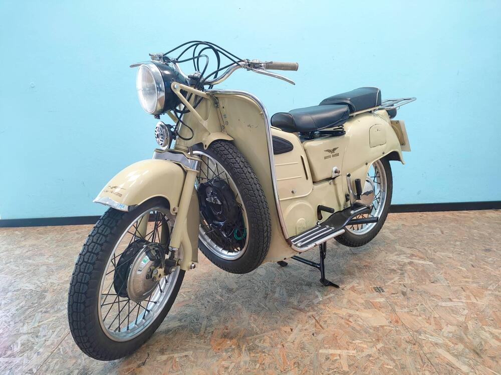 Moto Guzzi Galletto 192 (3)