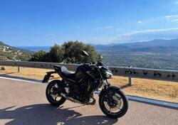 Kawasaki Z 650 (2021 - 24) usata