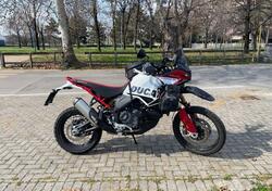 Ducati DesertX Rally (2024 - 25) usata