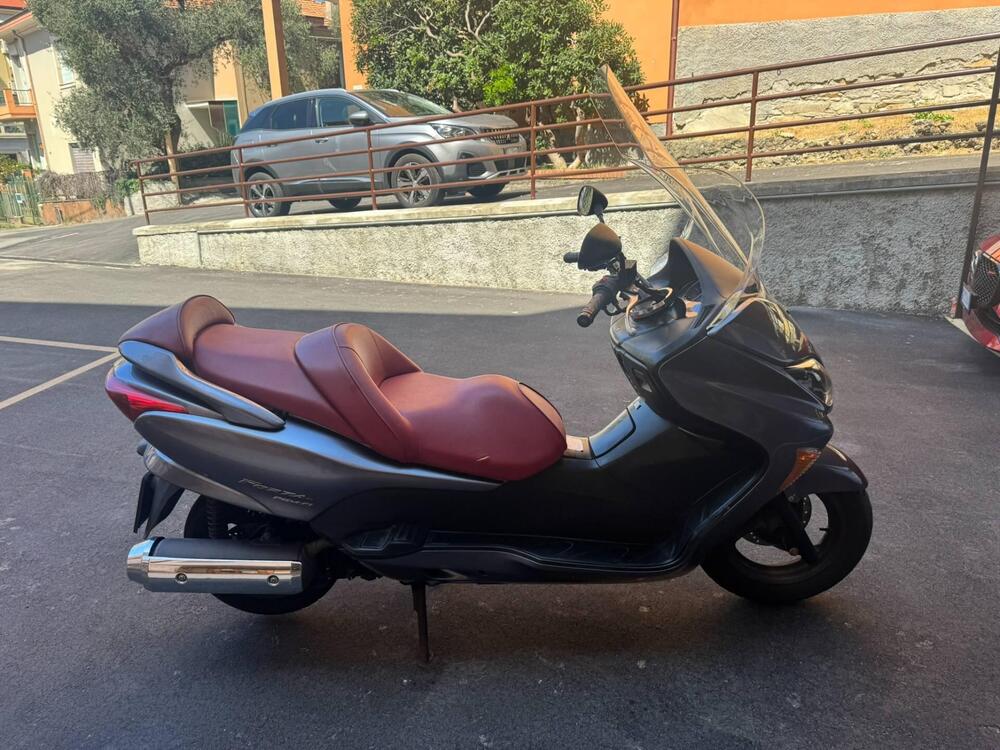 Honda Forza 250 X (2005 - 07)