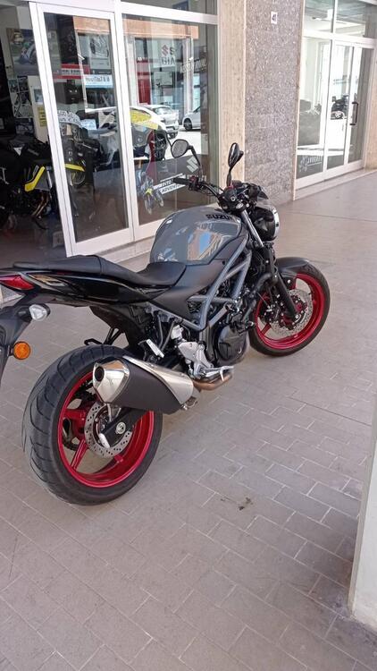Suzuki SV650 (2021 - 24)