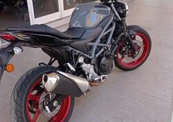 Suzuki SV650 (2021 - 24) usata