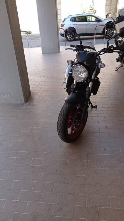 Suzuki SV650 (2021 - 24) (3)