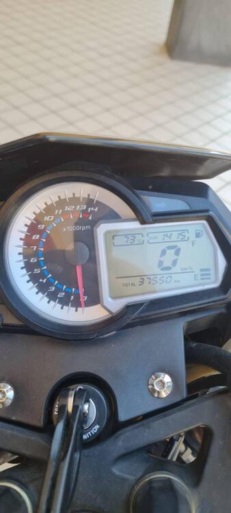 Benelli BN 302 (2014 - 16) (5)