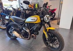 Ducati Scrambler 800 Icon (2017 - 20) usata