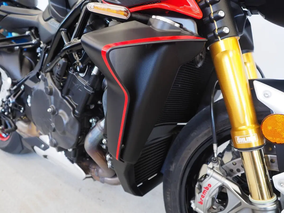 MV Agusta Brutale 1000 RR (2021 - 25) (9)