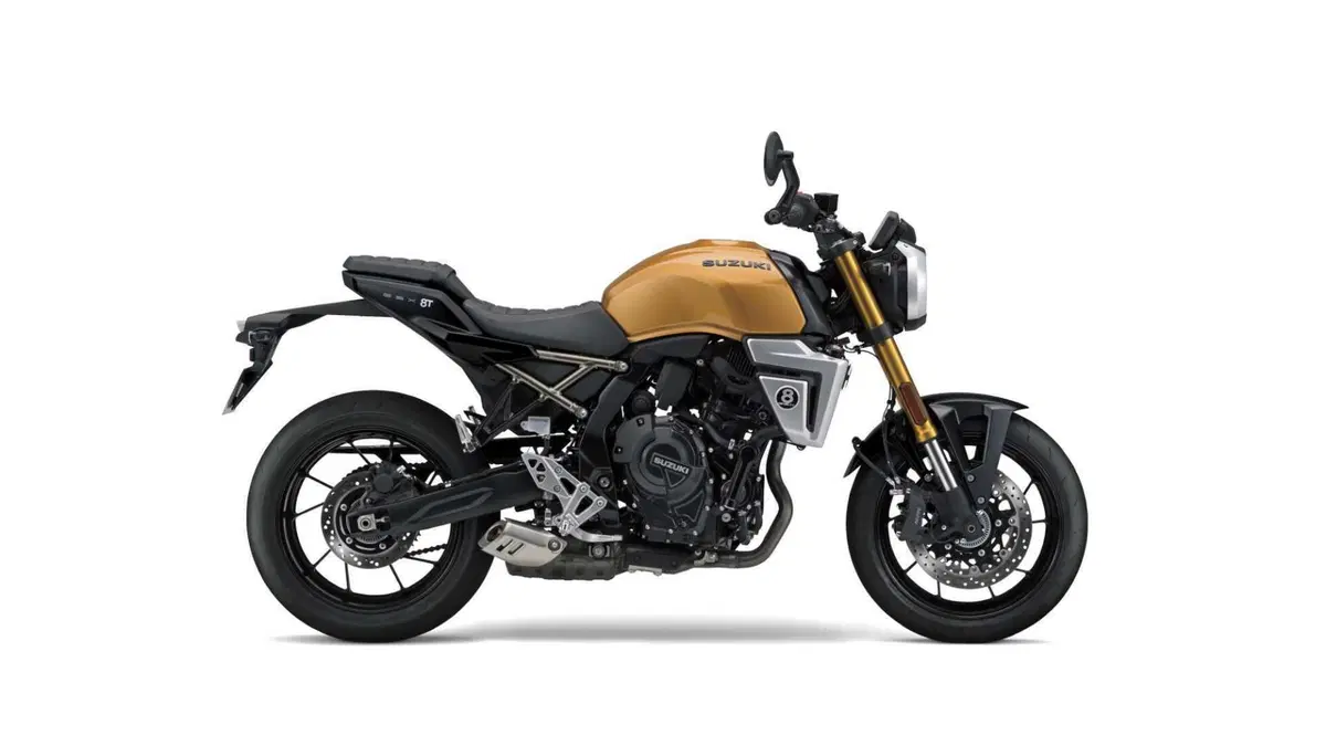 Suzuki GSX-8T GSX-8T (2025 - 26) (13)