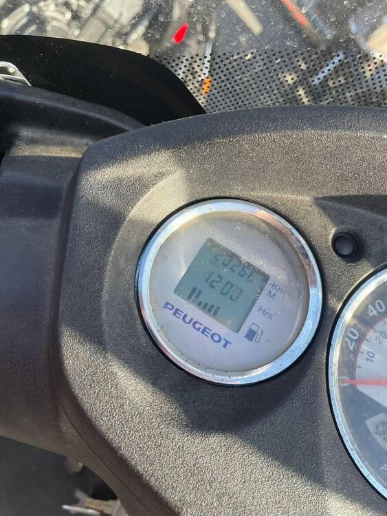 Peugeot Geopolis 300 (2010 - 13) (3)