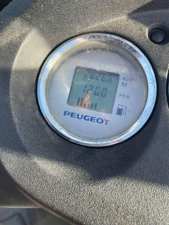 Peugeot Geopolis 300 (2010 - 13) (4)