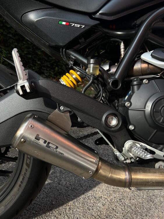 Ducati Monster 797 Plus (2019) (4)