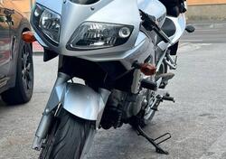 Suzuki SV 650 S (2003 - 06) usata