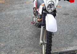 Betamotor Alp 4.0 (2008 - 17) usata