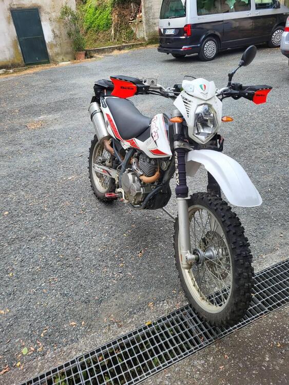 Betamotor Alp 4.0 (2008 - 17) (2)