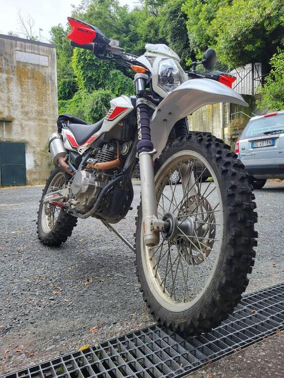 Betamotor Alp 4.0 (2008 - 17) (5)