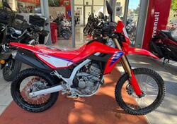 Honda CRF 300 L (2025) nuova