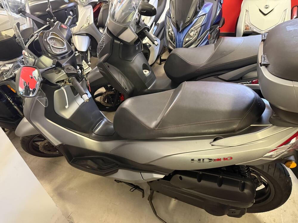 Sym HD 300 (2019 - 20) (2)