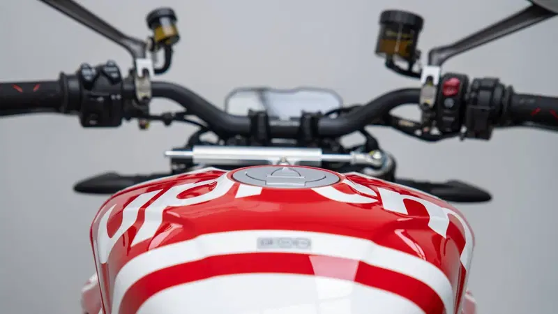 Ducati Streetfighter V4 S (2023 - 24) (18)