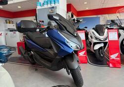 Honda Forza 125 Deluxe (2023 - 24) nuova