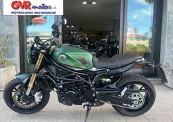 Benelli Leoncino 800 (2022 - 25) usata