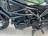 Benelli Leoncino 800 (2022 - 25) (14)