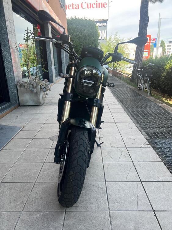 Benelli Leoncino 800 (2022 - 25) (3)