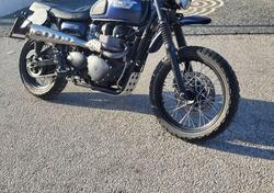 Triumph Scrambler (2006 - 17) usata