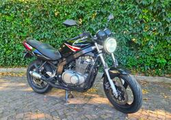 Suzuki GS 500 (2001 - 06) usata