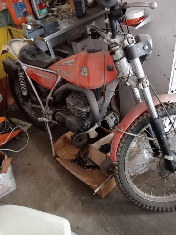 Bultaco 250 trial (3)