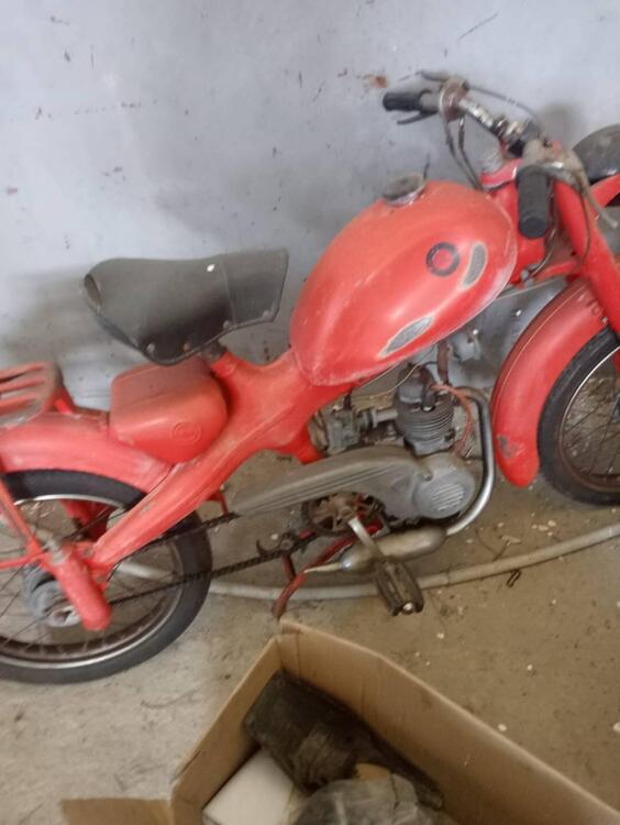 Bultaco 250 trial (5)