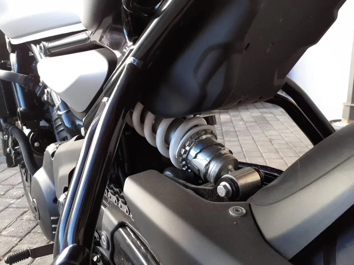 Royal Enfield Guerrilla 450 (2024 - 26) (18)