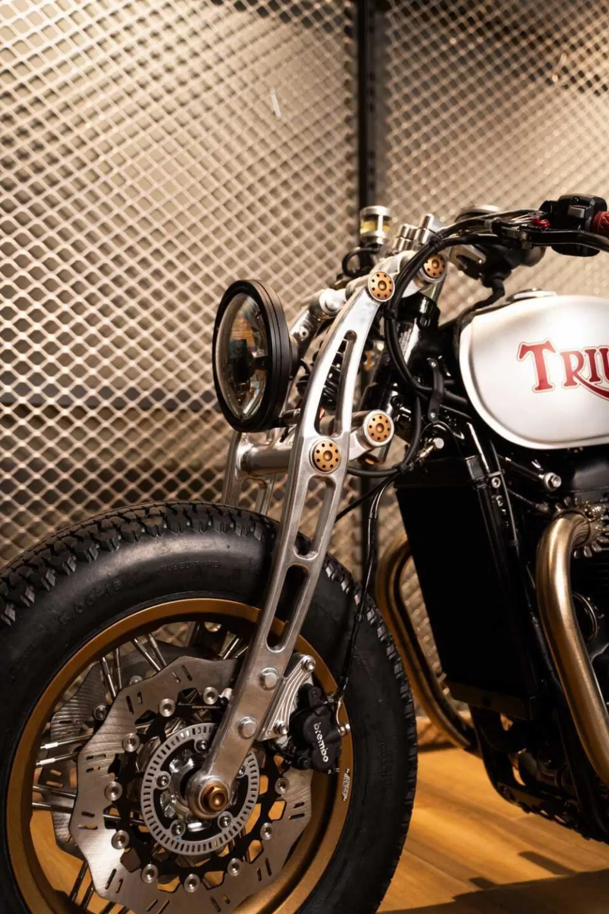 Triumph Originals 2025 (5)