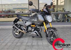 Honda MSX 125 Grom (2021 - 25) usata