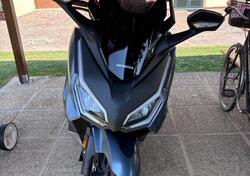 Honda Forza 350 (2022 - 24) usata