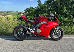 Ducati Panigale V4 S 1100 (2018 - 19) usata