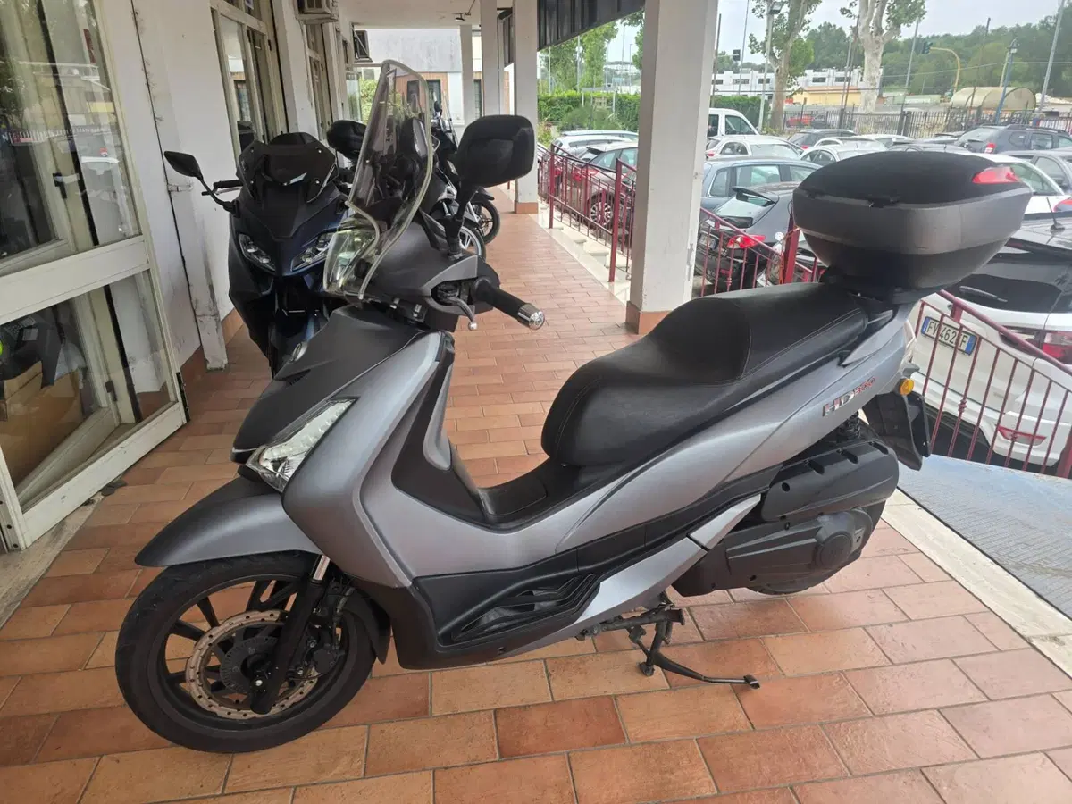 Sym HD 300 (2019 - 20) (2)
