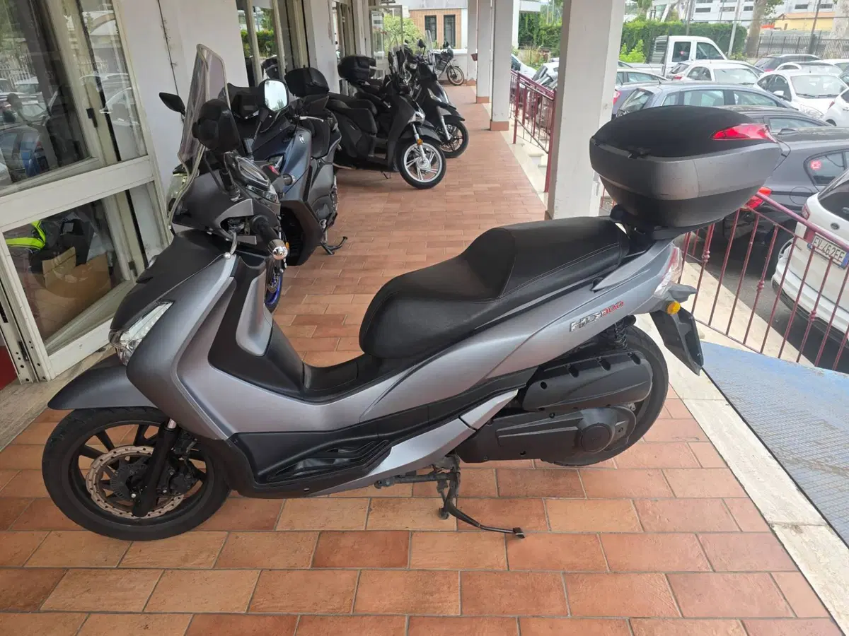 Sym HD 300 (2019 - 20) (5)