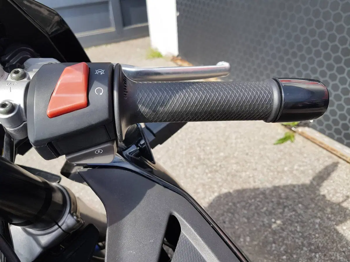 Aprilia RS 125 (2006 - 14) (12)