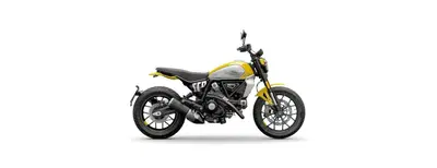 Ducati Scrambler 800 Icon (2023 - 24) usata