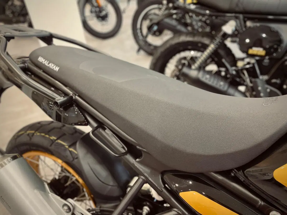 Royal Enfield Himalayan 450 (2024 - 26) (4)