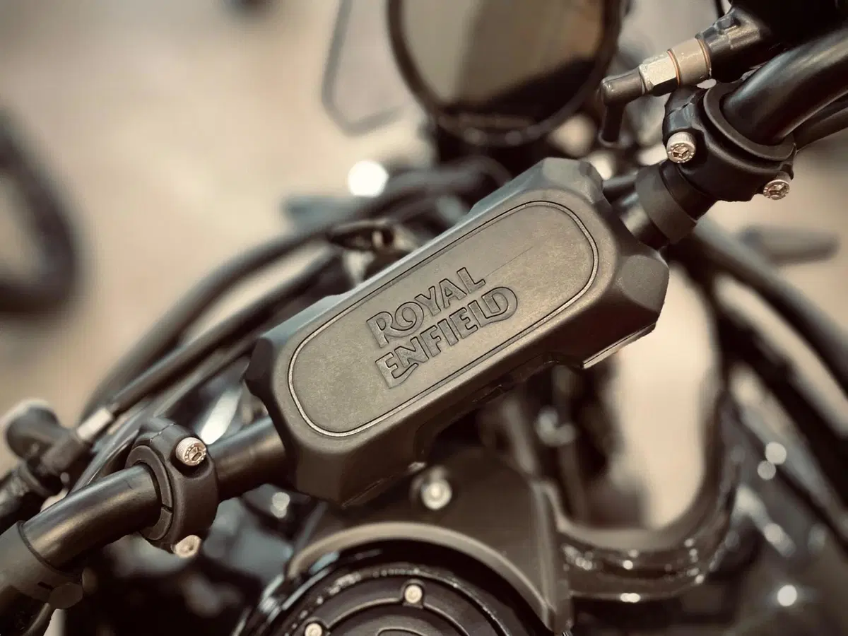 Royal Enfield Himalayan 450 (2024 - 26) (8)