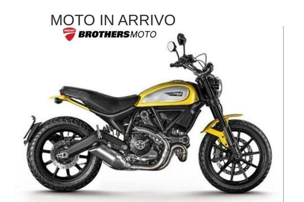 Ducati Scrambler 800 Icon (2015 - 16)