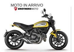 Ducati Scrambler 800 Icon (2015 - 16) usata