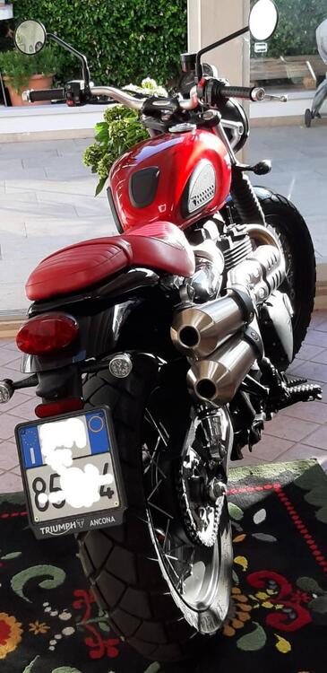 Triumph Street Scrambler 900 (2019 - 20)