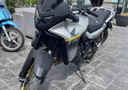 Honda Transalp XL750 (2025) usata