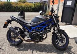 Suzuki SV650 (2021 - 24) usata