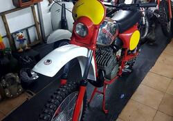 Betamotor Gs 250 d'epoca