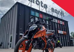 KTM 390 Duke (2024 - 26) usata