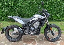 Betamotor Alp X (2024 - 25) usata