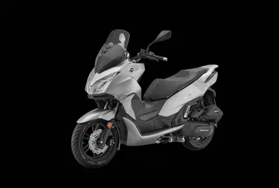 QJ Motor MTX 300 (2025 - 26) nuova