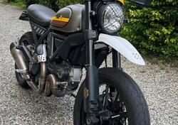 Ducati Scrambler 800 Urban Enduro (2015 - 16) usata